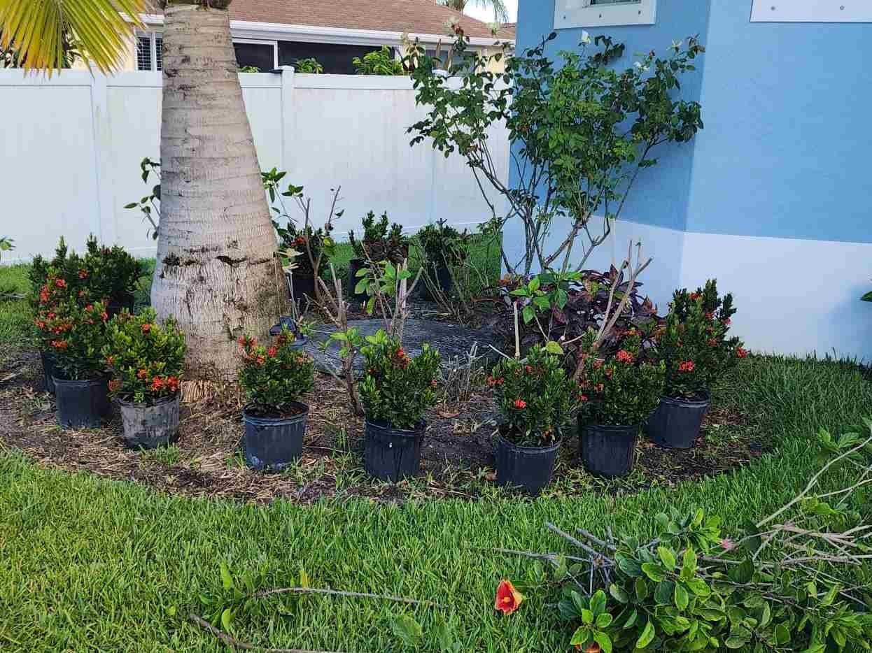 Juan Jimenez Landscaping